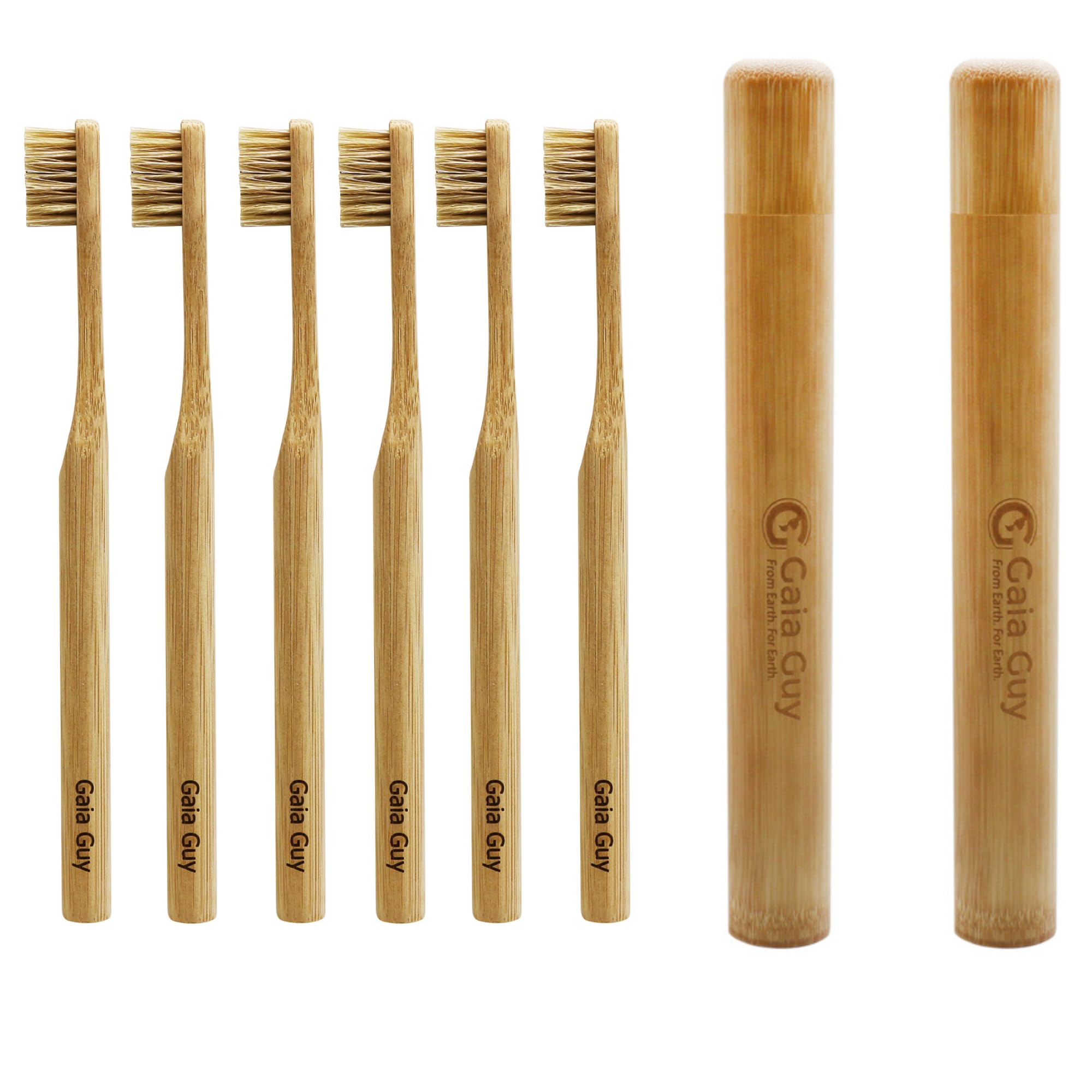 Amazon.com : Gaia Guy Bamboo and Boar Hair Toothbrush and Travel